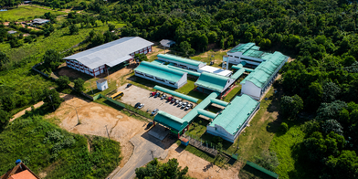 Campus Laranjal Do Jari