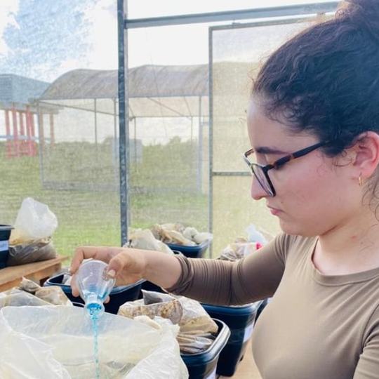 Estudante Vai Participar Da Ii Escola De Fisiologia E Nutrição De Plantas