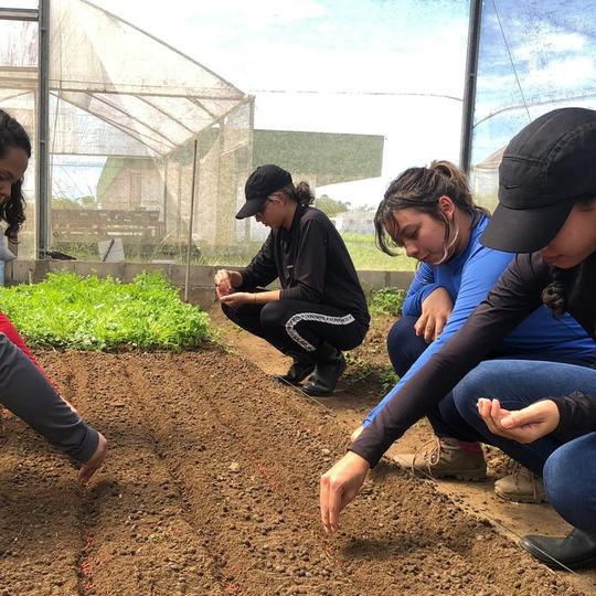Fazenda Experimental Abre 30 Vagas De Estágio